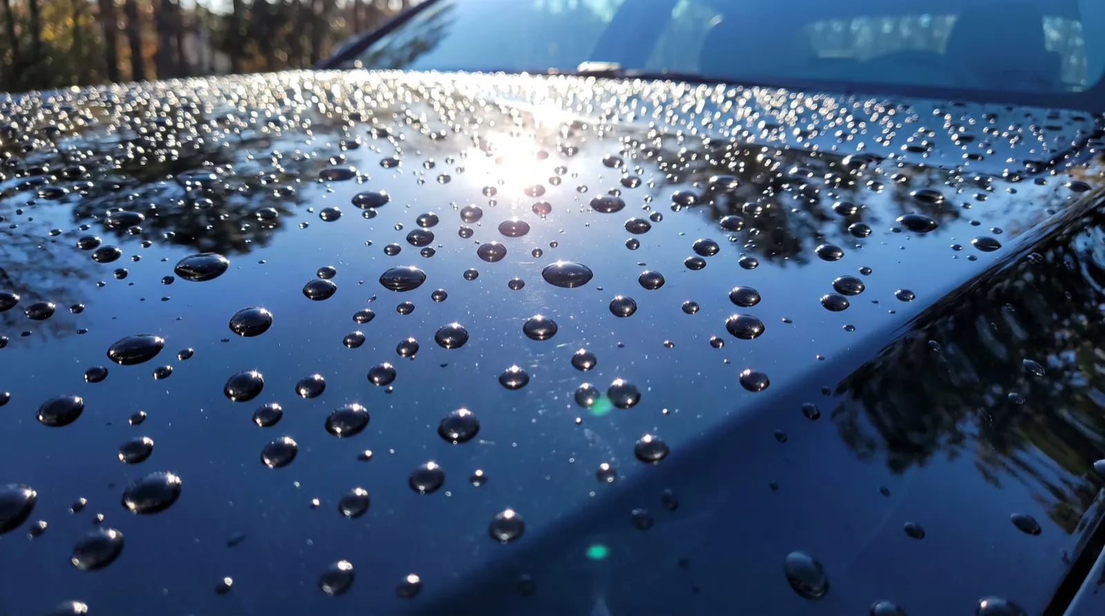 Water beading on a glossy black car hood with ceramic coating